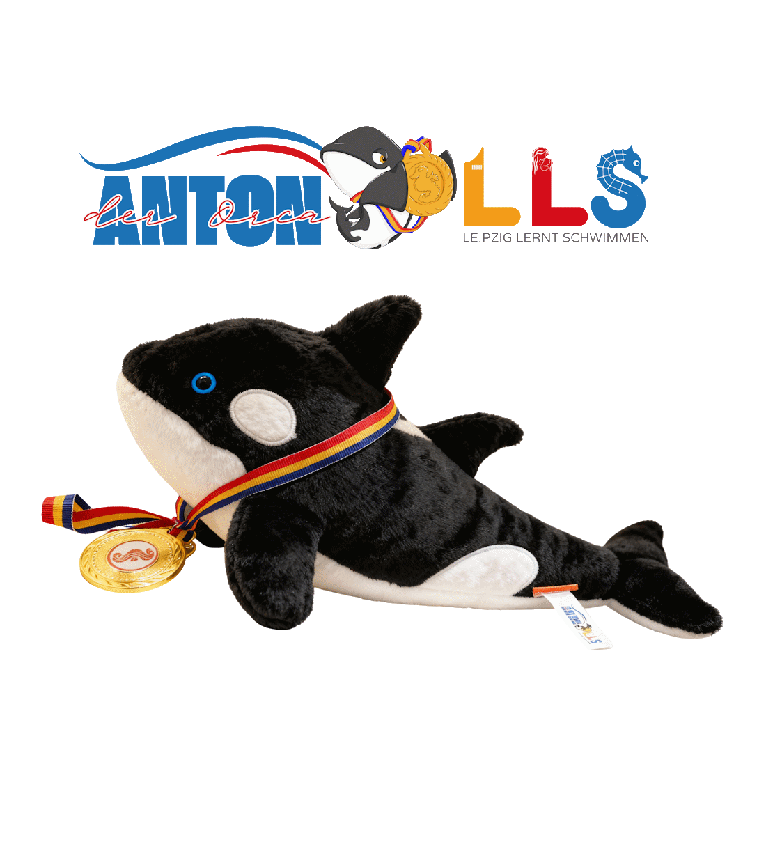 Leipzig lernt schwimmen &ndash; Aufbau der Marke und Konzepte