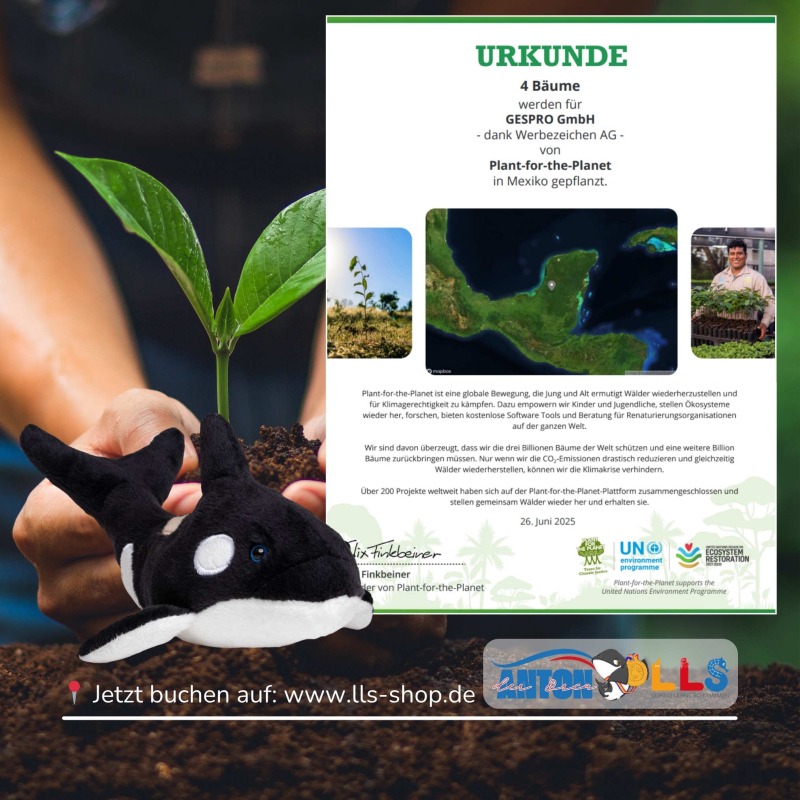 Anton der Orca – Nachhaltigkeit bei Leipzig lernt schwimmen